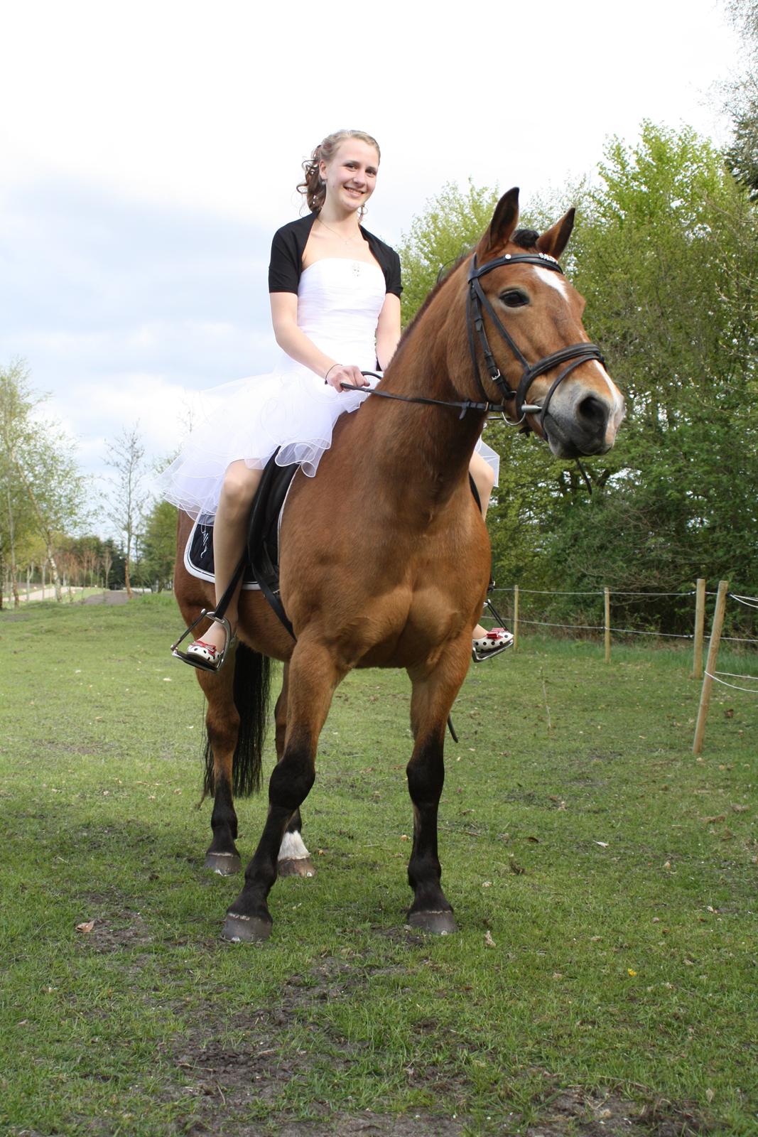 Anden særlig race Sally {Tidligere hest} - Endnu et billede fra min fantastiske dag <3 billede 19