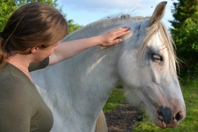 Anden særlig race Nørregårds Pocahontas (Solgt) billede 17