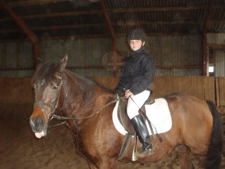 Anden særlig race Laban billede 2