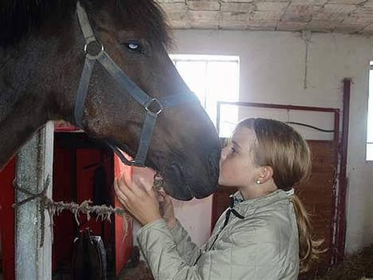 Anden særlig race Laban billede 9