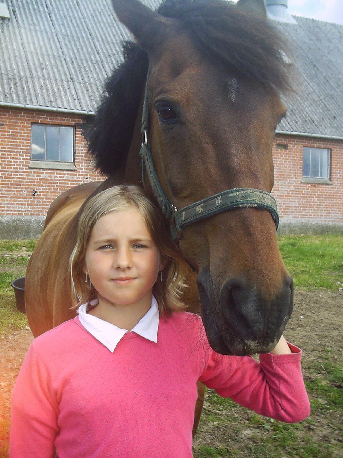 Anden særlig race Laban billede 10