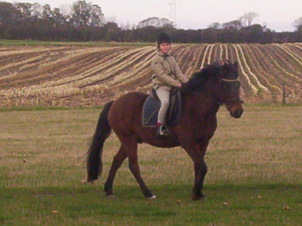 Anden særlig race Laban billede 12