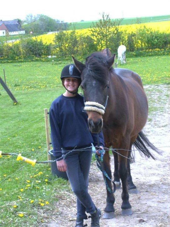 Anden særlig race Laban billede 13