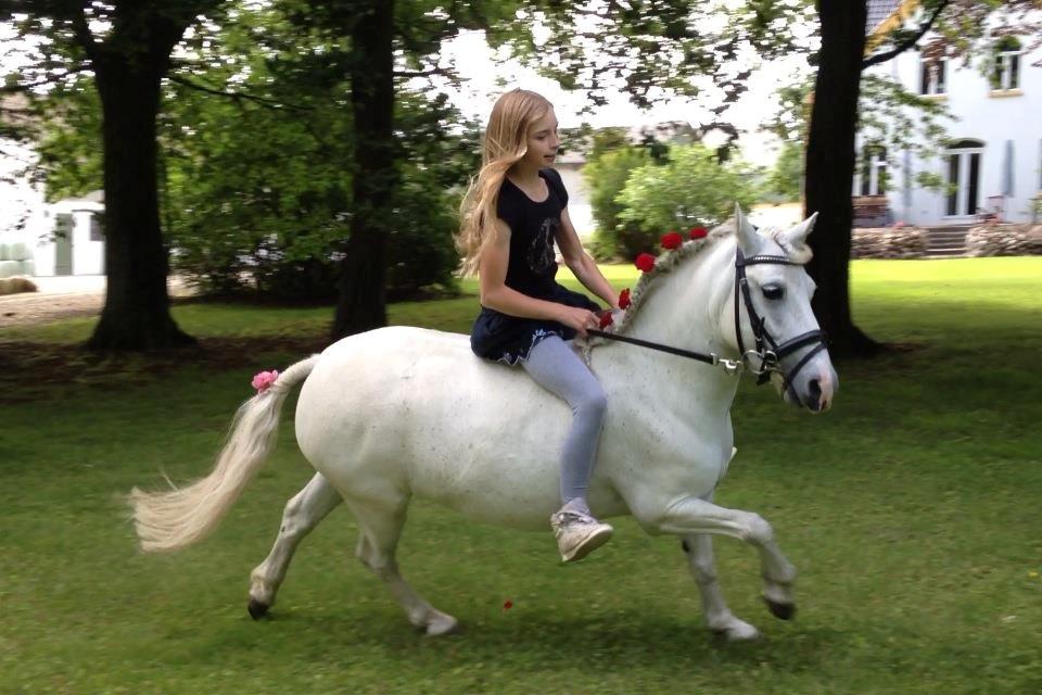 Welsh Mountain (sec A) Coco Zeylex (Spring-ponyen<3) Mit et & alt <3 - på min 12 års fødselsdag<33  billede 4