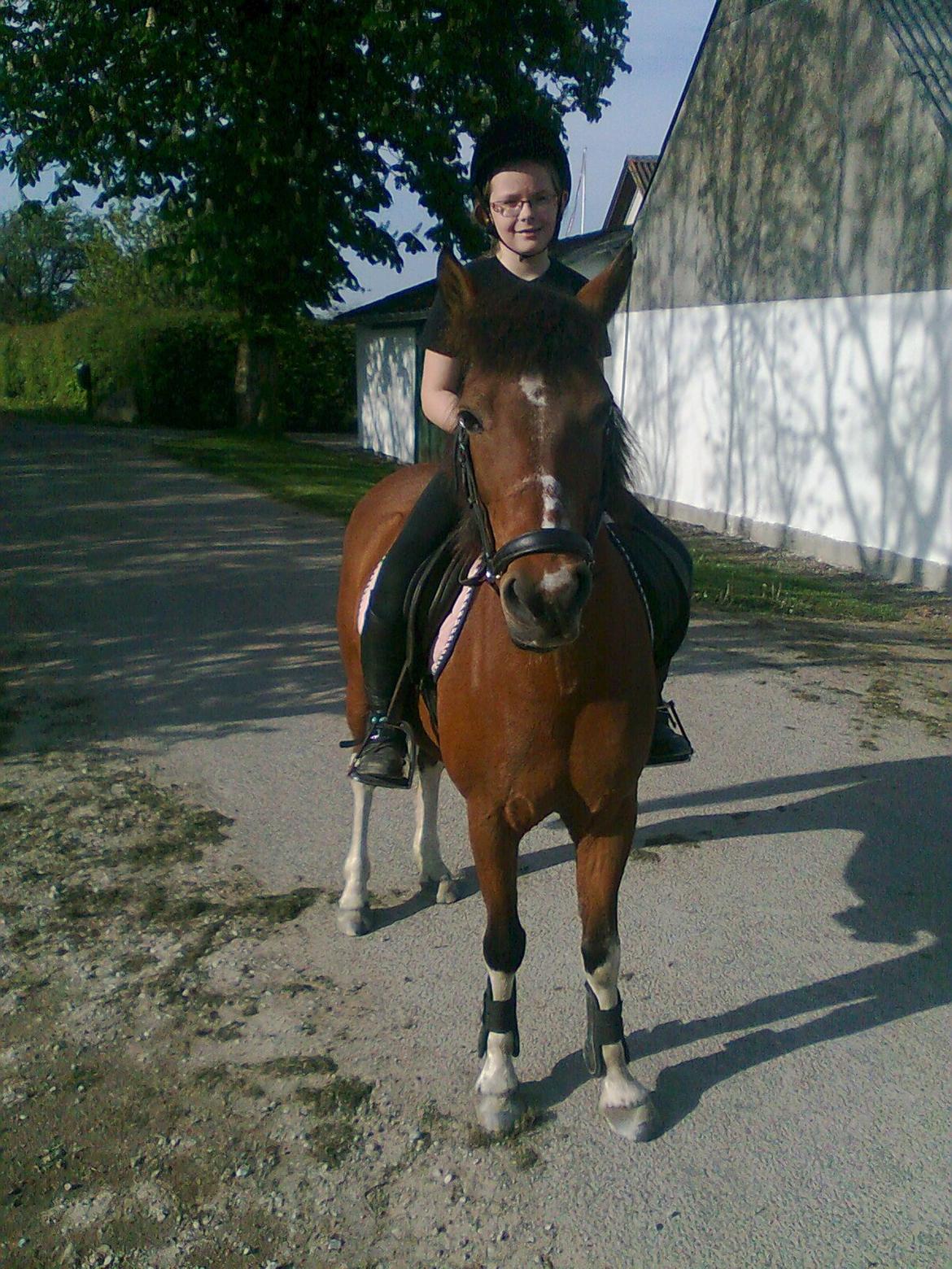 Anden særlig race Frig - Laura og Frig på tur :)  billede 9