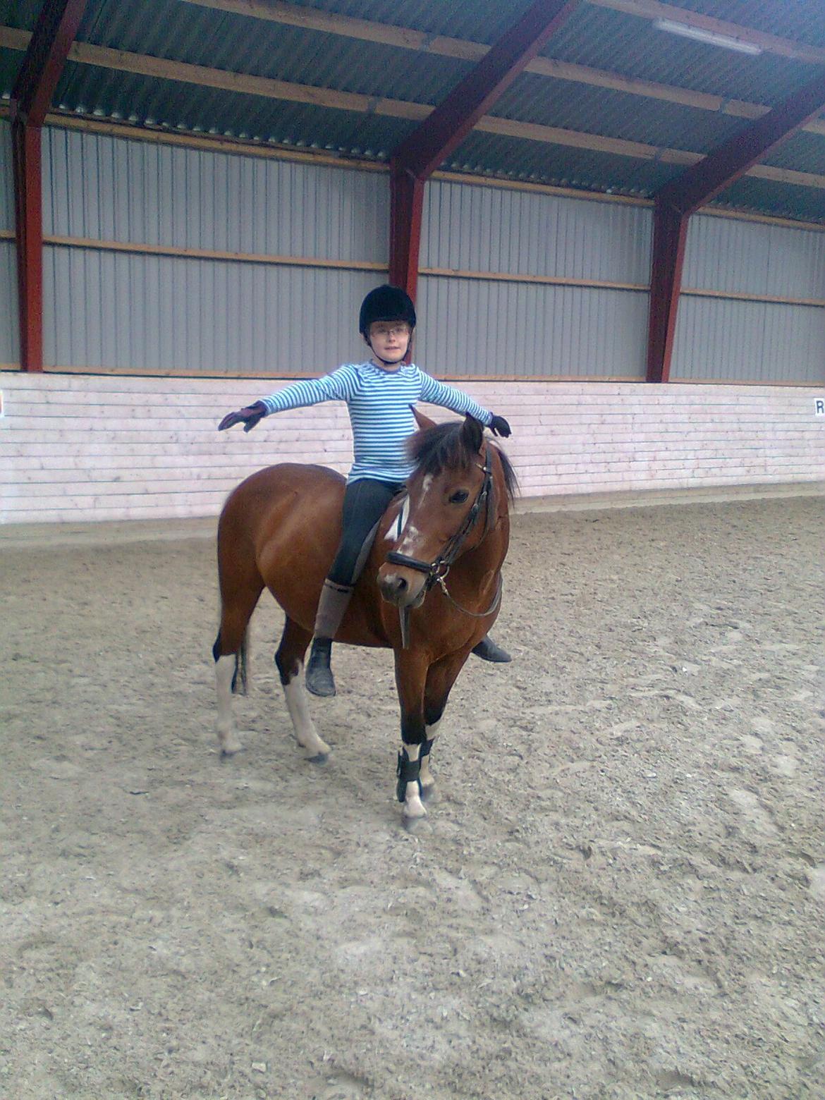 Anden særlig race Frig - Uden sadel ;) billede 10