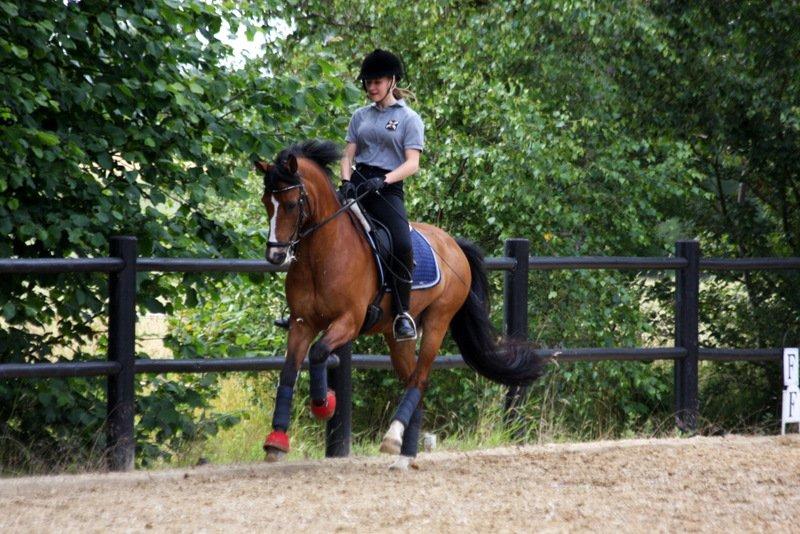 New Forest Fuglekildes macoy - Weeeee, afsted på et ben :-D billede 12