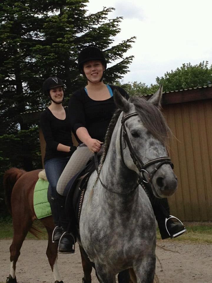 Anden særlig race Stald Magnas Momo Zon - Dejlig ridetime på Momo Zon <3 billede 19