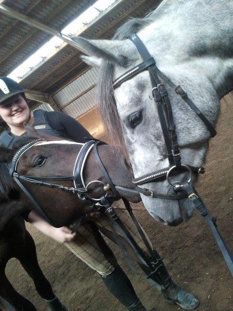 Anden særlig race Stald Magnas Momo Zon - Momo Zon og Ztripe..
 billede 20