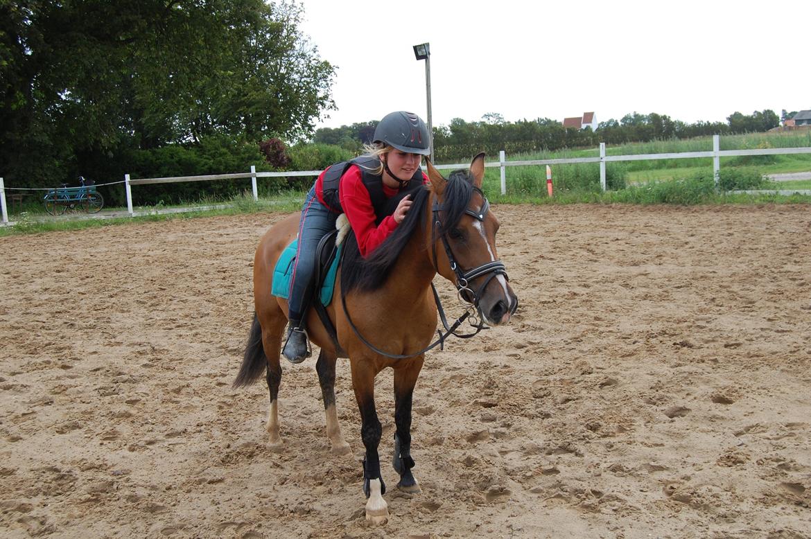 Anden særlig race Miss Caya (Prinsessen) billede 2
