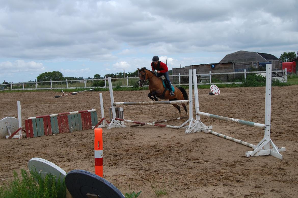 Anden særlig race Miss Caya (Prinsessen) billede 3