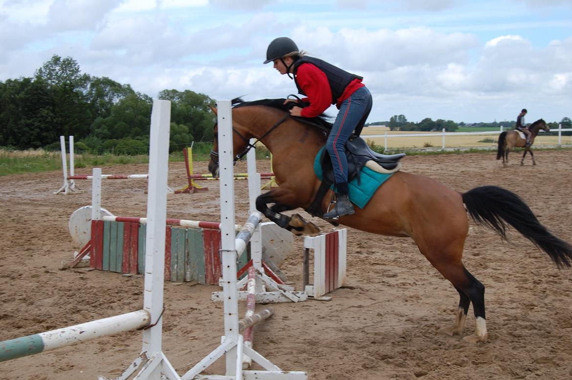 Anden særlig race Miss Caya (Prinsessen) billede 4
