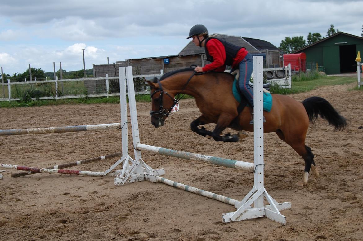 Anden særlig race Miss Caya (Prinsessen) billede 5