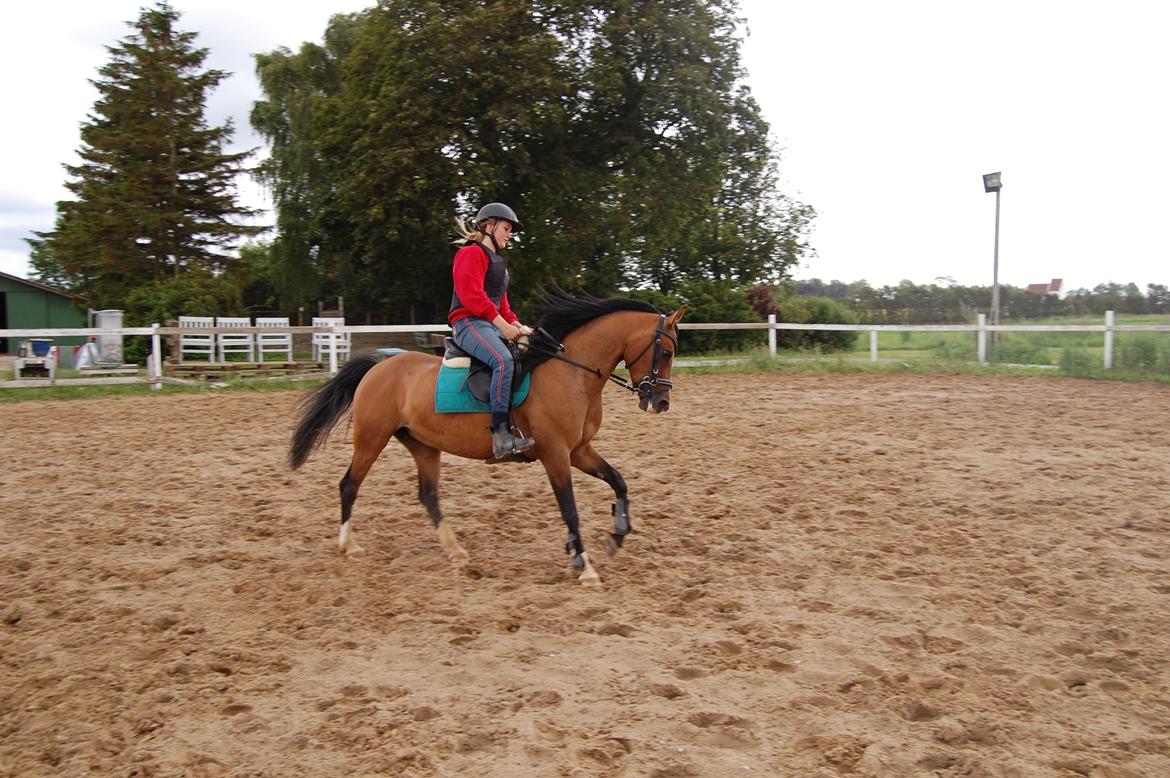 Anden særlig race Miss Caya (Prinsessen) billede 8