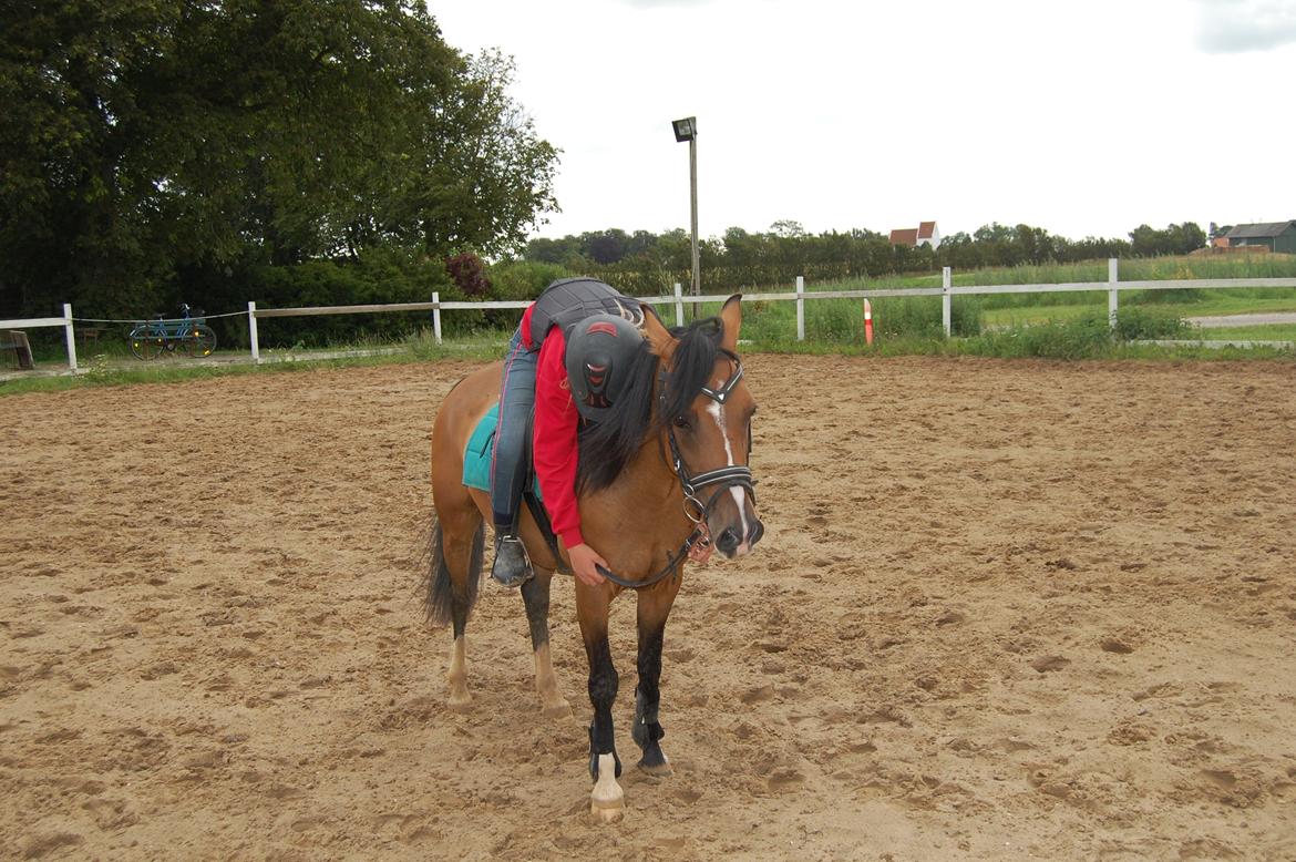 Anden særlig race Miss Caya (Prinsessen) billede 9