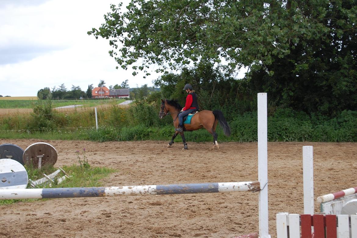 Anden særlig race Miss Caya (Prinsessen) billede 10