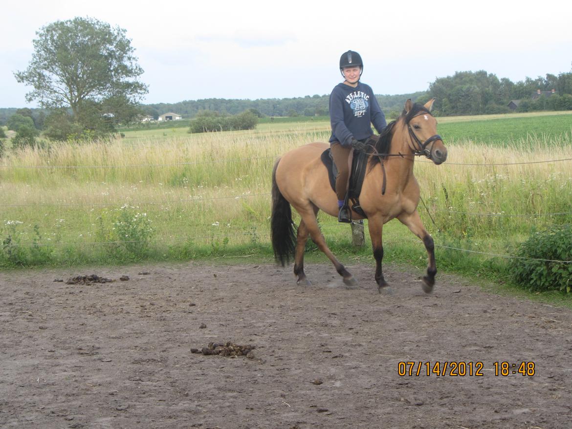 Anden særlig race Perle - Sommer '12 billede 16
