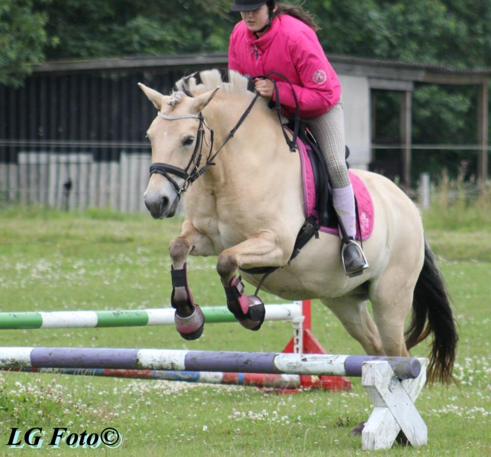 Anden særlig race Landlyst´s Keepliving Keepi billede 13