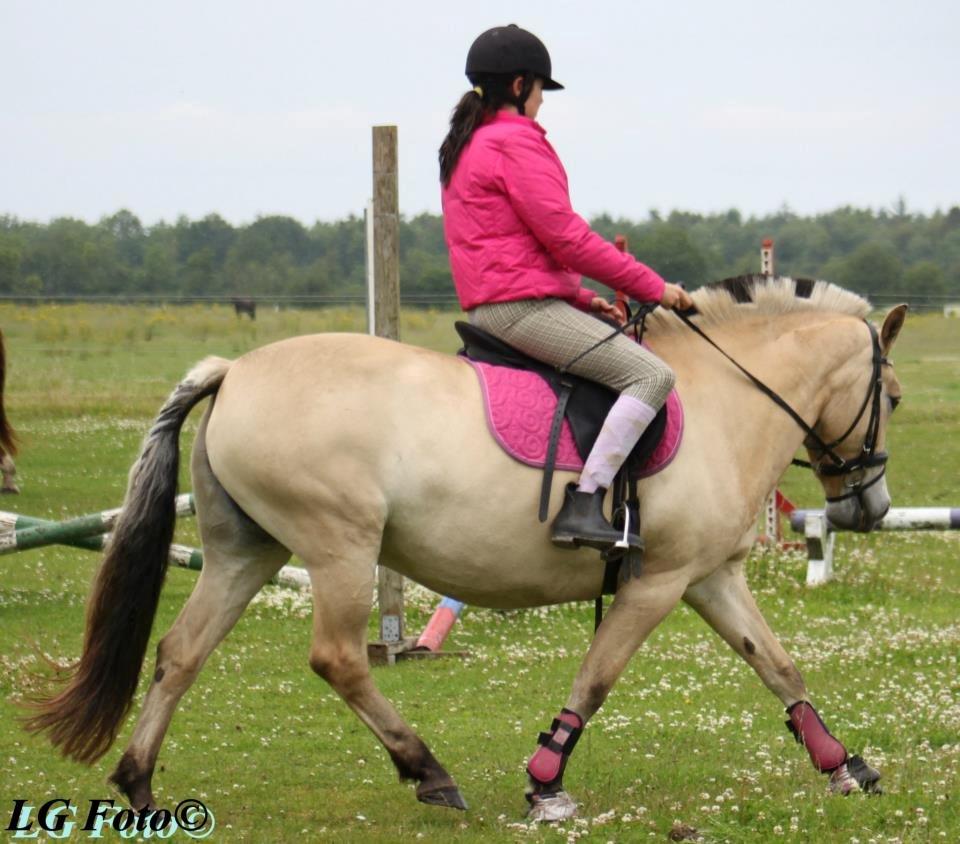 Anden særlig race Landlyst´s Keepliving Keepi billede 9