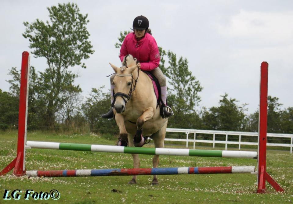 Anden særlig race Landlyst´s Keepliving Keepi billede 12