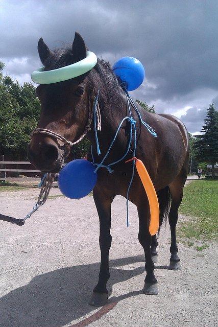 Dartmoor Klostermarkens Atlanta - Atlanta - nu som ballondyr :P billede 19