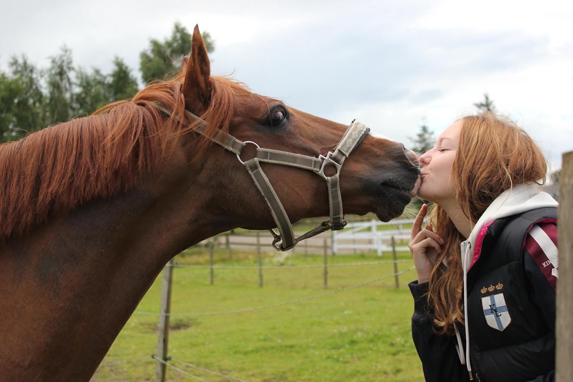 Anden særlig race Ferrari - 1, sidste dag med ham.. R.I.P foto ~ Sofie Pedersen. billede 1