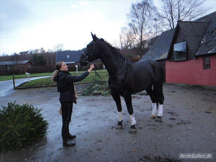 Oldenborg Mandor Vaseskov billede 8