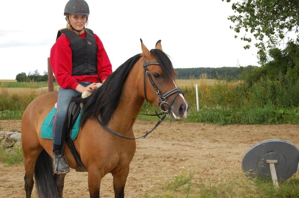 Anden særlig race Miss Caya (Prinsessen) billede 1