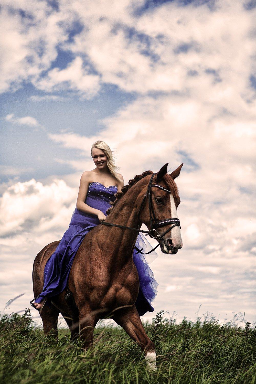 Hollandsk Varmblod White Focks * -  himlen smukkeste stjerne  <3 :'( - 
Fotograf: Rie Maria Kjær - www.photok.dk billede 8