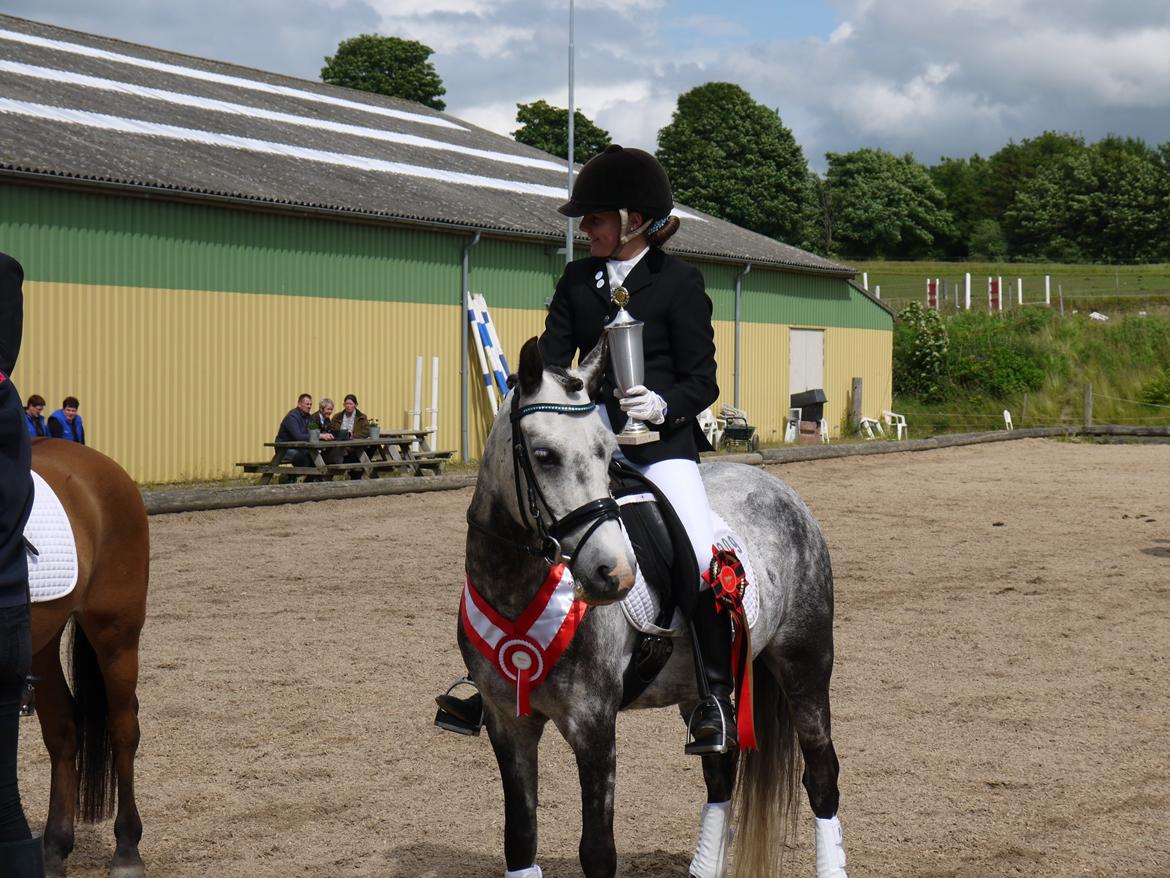 Anden særlig race Armani - B-pony - My big love! billede 10