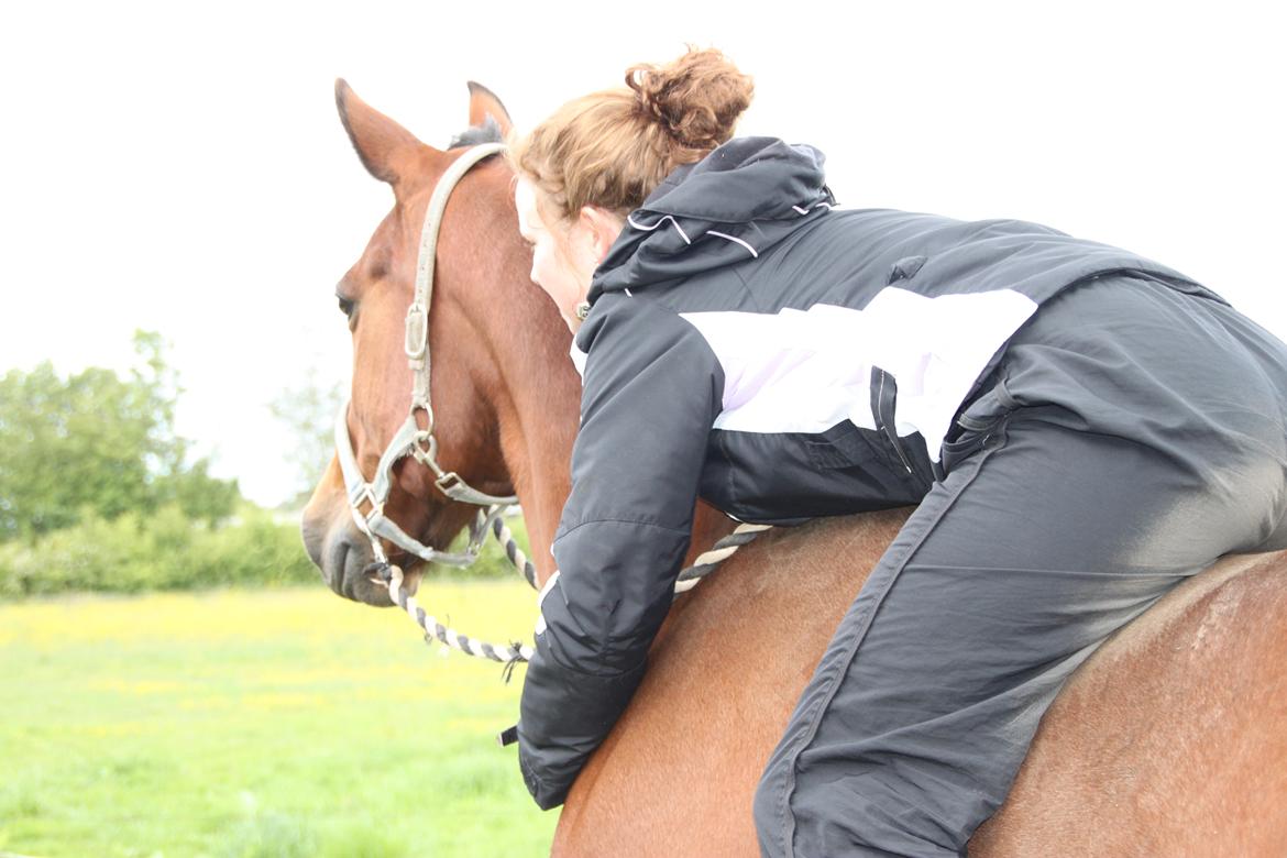 Traver Torino (Know It All) billede 2