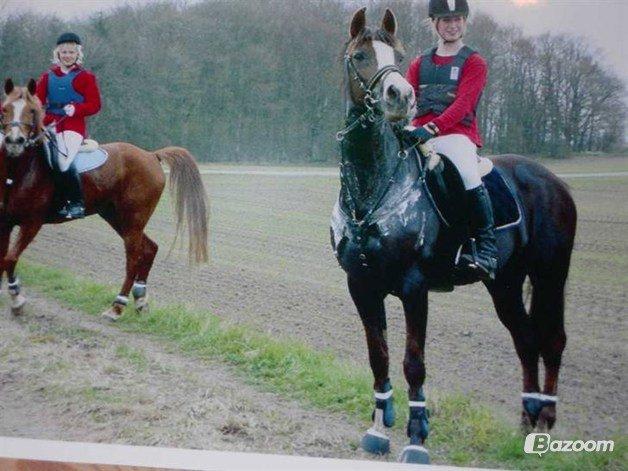 Hollandsk Sportspony Cyprana-B - Mig og cyppe til jagt :) billede 13