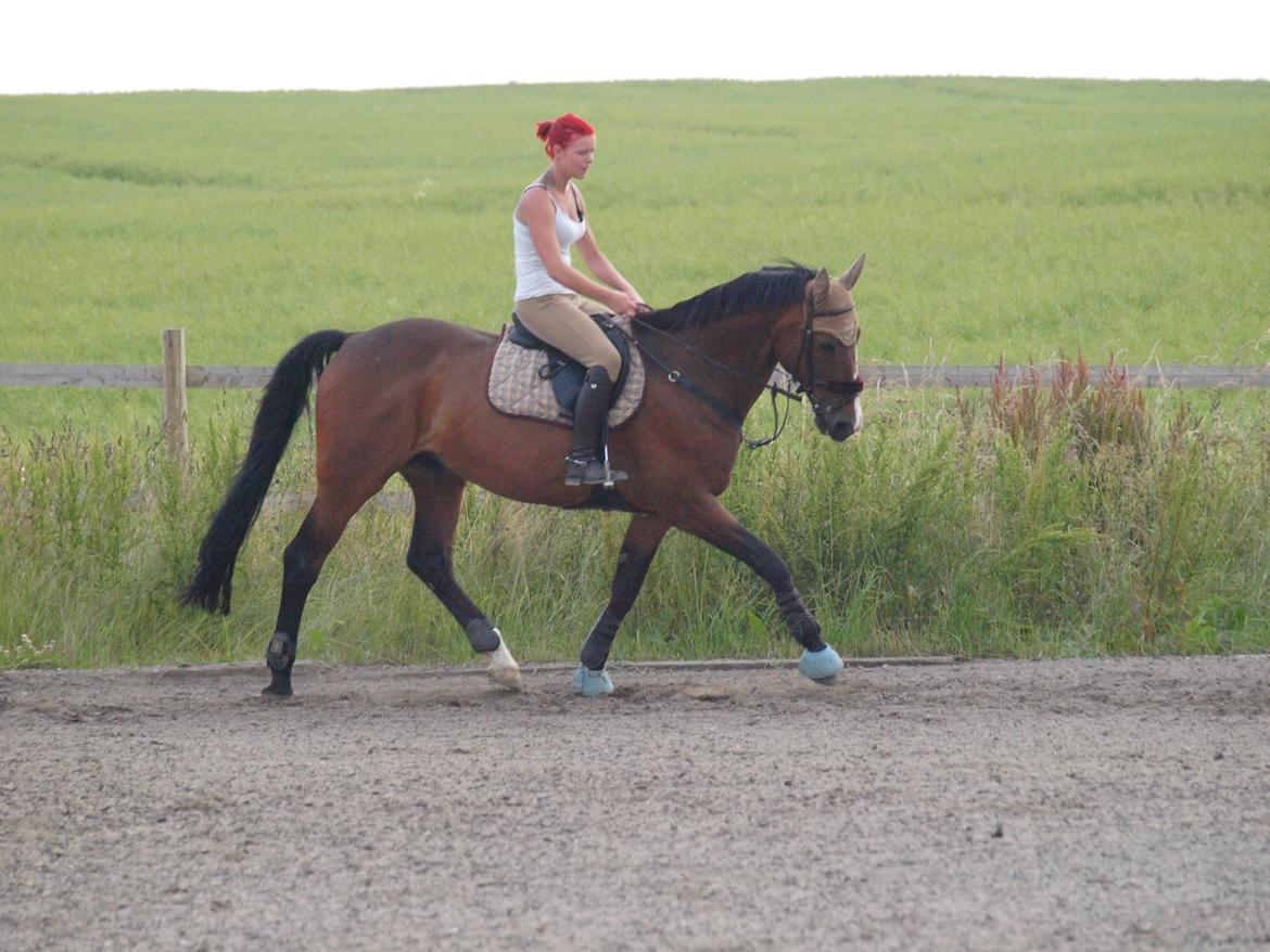 Anden særlig race Jari - Velkommen til Jari. billede 6