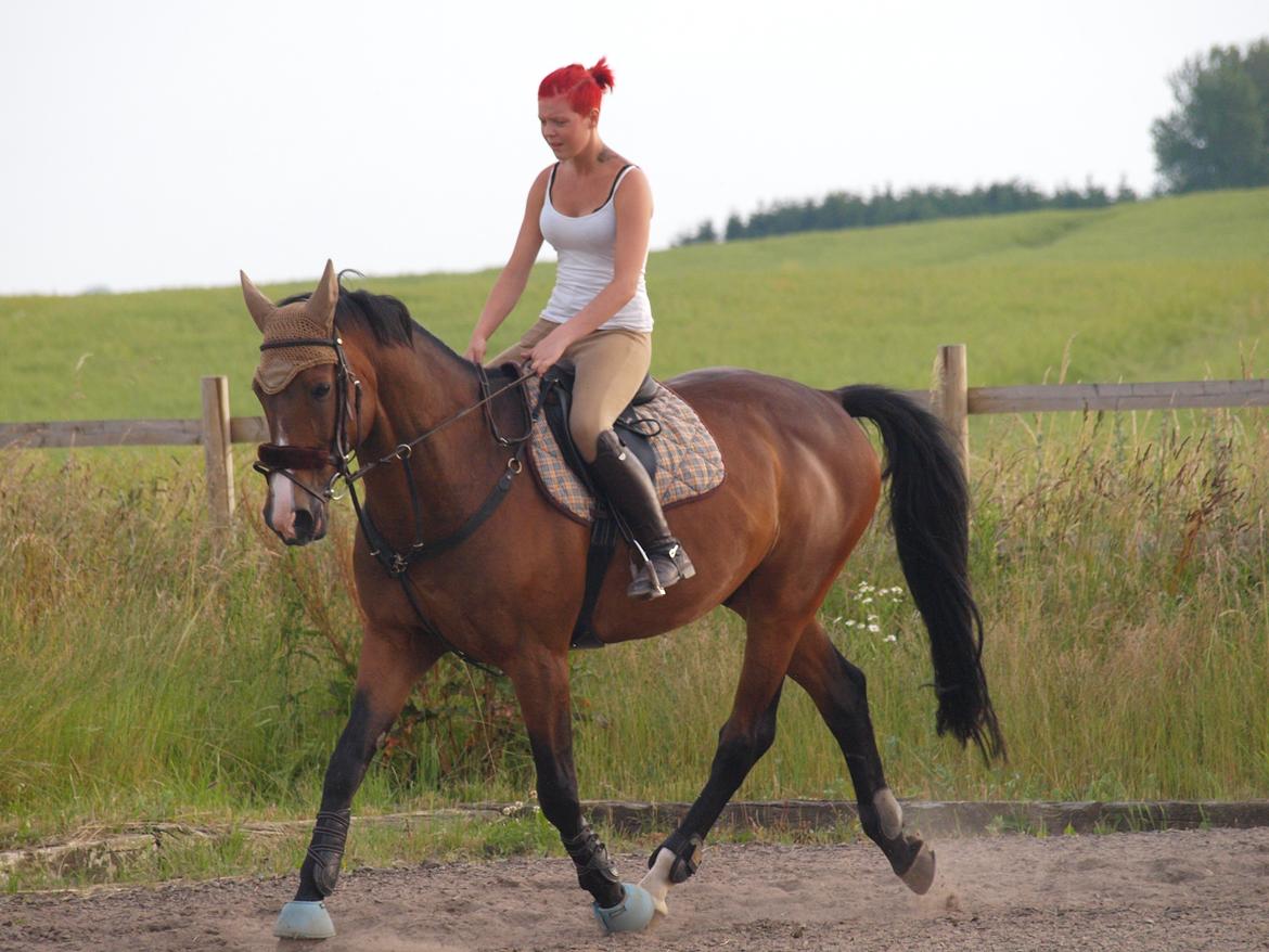 Anden særlig race Jari billede 4