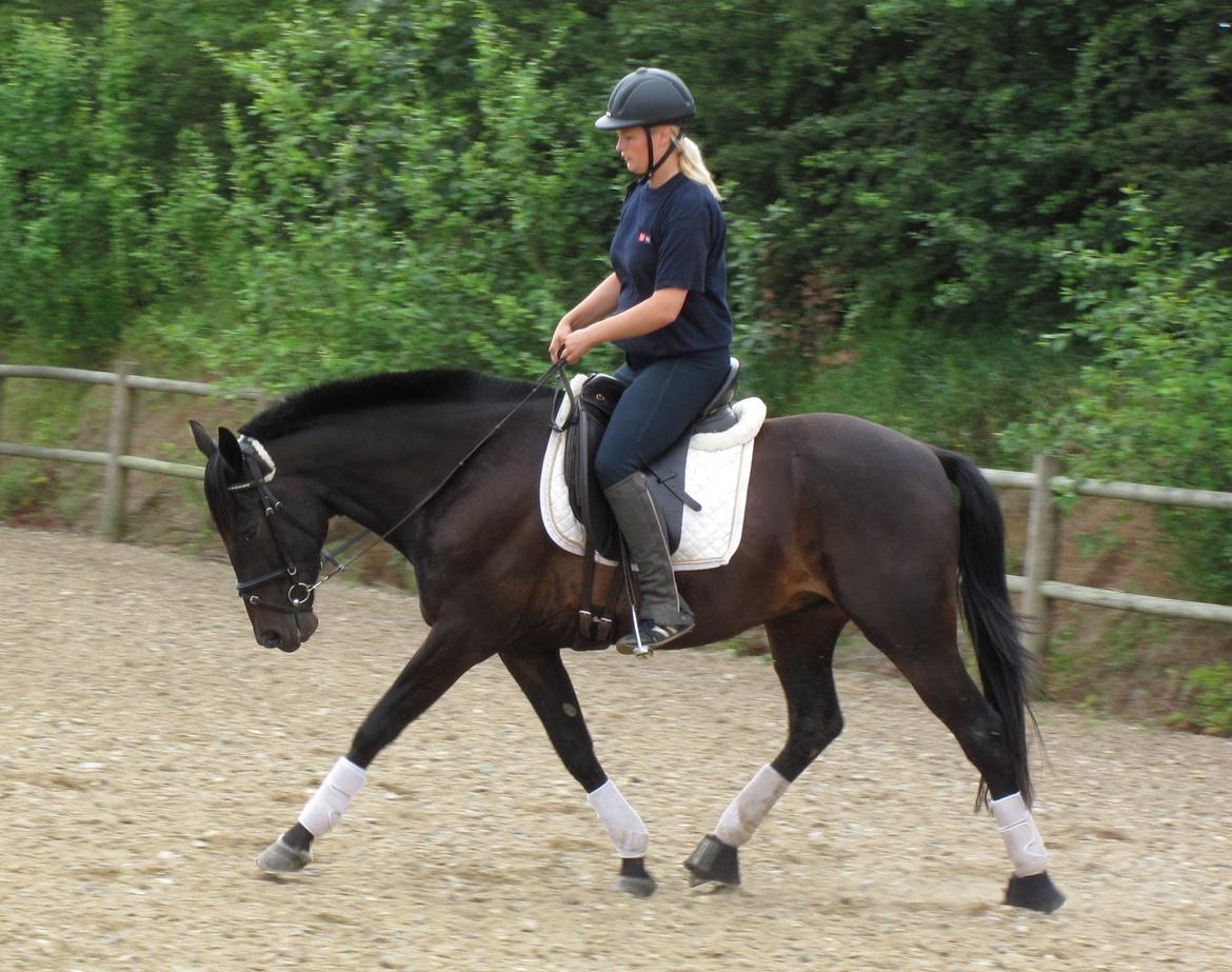 Traver Oventus - himmelhesten - Sandkasseridning på "ponyen"..;o) billede 18