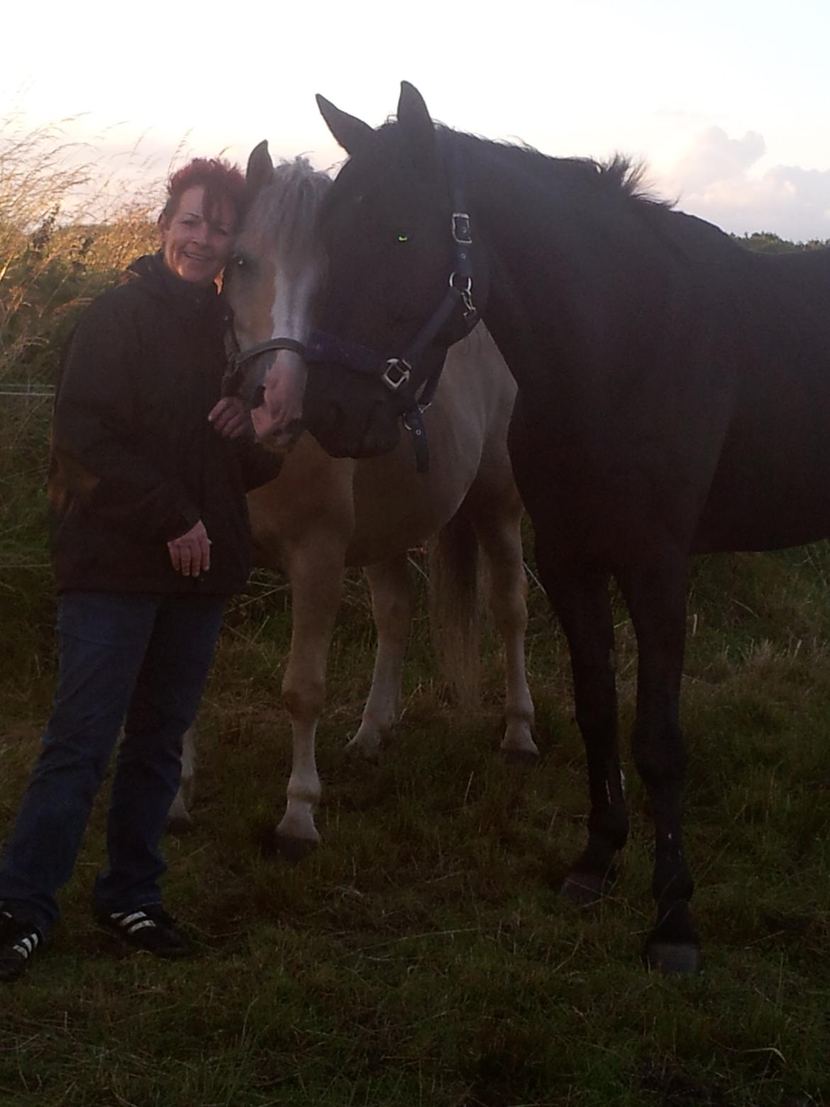 Traver Noir Speed billede 14