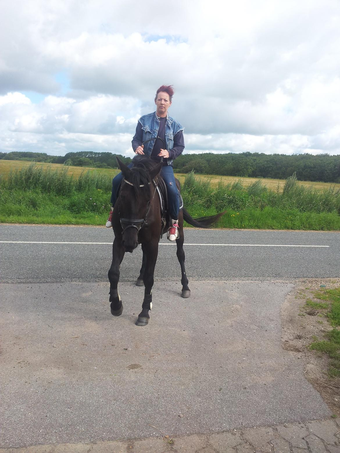 Traver Noir Speed billede 15