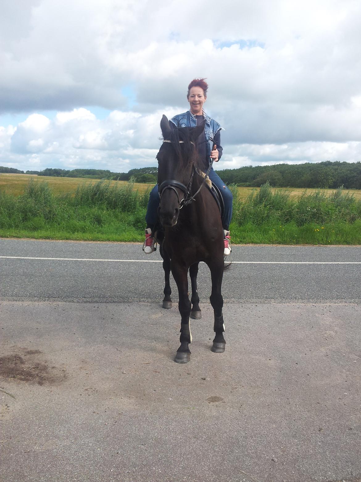 Traver Noir Speed billede 16