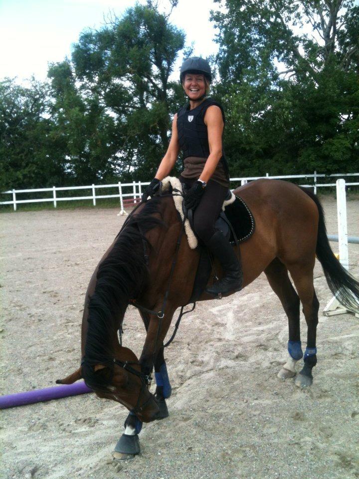 Fuldblod (XX) Pistoleiro - Efter første gang på springbanen - meget glad :) billede 18