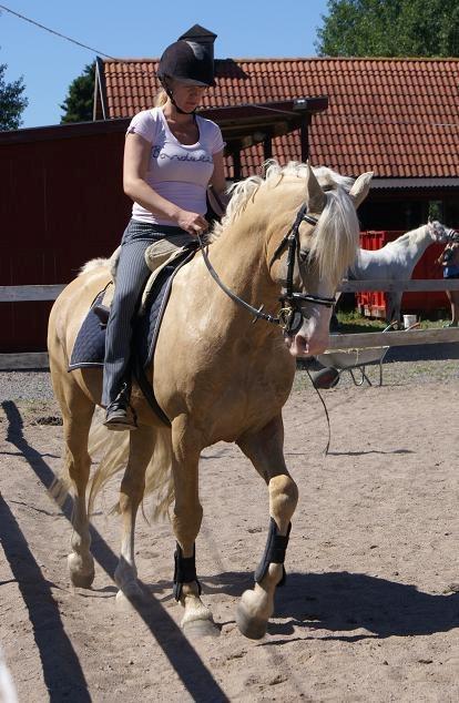 Frederiksborg Sargo vejleby billede 6