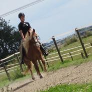 Islænder þorbjörn