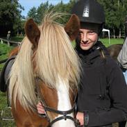 Islænder þorbjörn