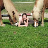 Islænder þorbjörn