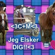 New Forest Fuglsangs Cassandra