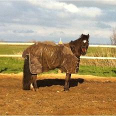 DSP Chippendale <3 |Slags Part|