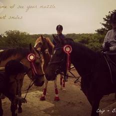 DSP Chippendale <3 |Slags Part|