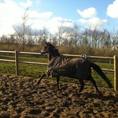 DSP Chippendale <3 |Slags Part|