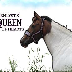 Pinto Rosenlyst's Queen og heart's(tidl. låne)