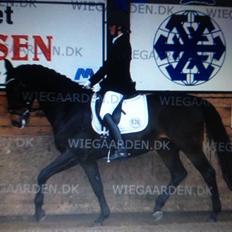 Oldenborg Oassis Helfin