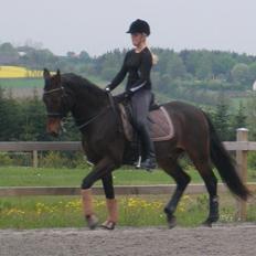 Oldenborg Oassis Helfin